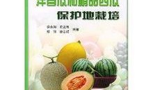 各种吃瓜网红精品小说,网红小说中的美食与爱情盛宴